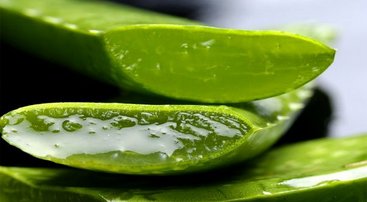 Các bước sơ cứu bỏng ở trẻ cha mẹ cần biết